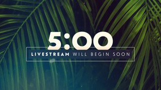 Palm Sunday Streaming | Collections | Shift Worship