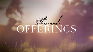 Spring Journey | Collections | Shift Worship