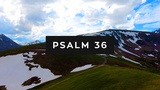 Psalm 36 (Mini Movies)