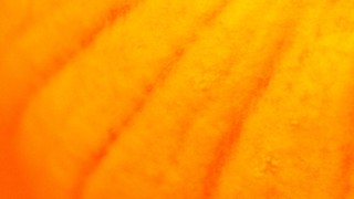 Pumpkin Texture