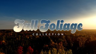 Fall Foliage