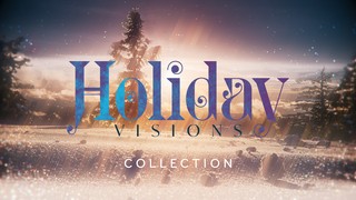 Holiday Visions