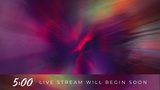 Floridescent Live Stream Lower Third Countdown