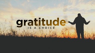 Gratitude Is A Choice