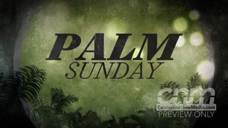 Palm Bokeh Palm Sunday Still