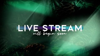 Cnm Christmas Light Live Stream