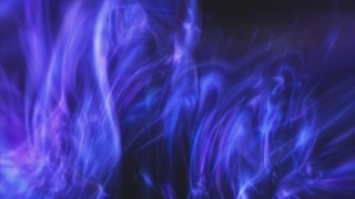 Flux 05