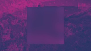Nz Mashup 1 Alt