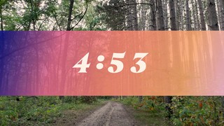 The Forest Countdown