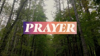 The Forest Prayer