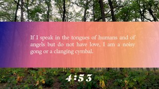 The Forest Scripture Countdown