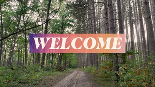 The Forest Welcome