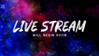 Vivid Light Live Stream