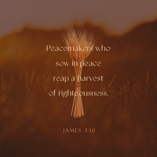 James 3:18