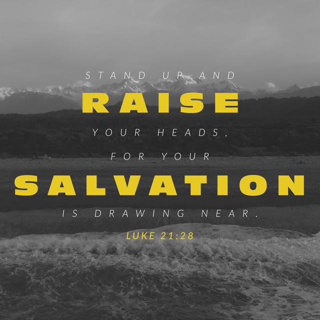 Look Up Scripture