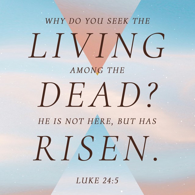 Liquify Scripture