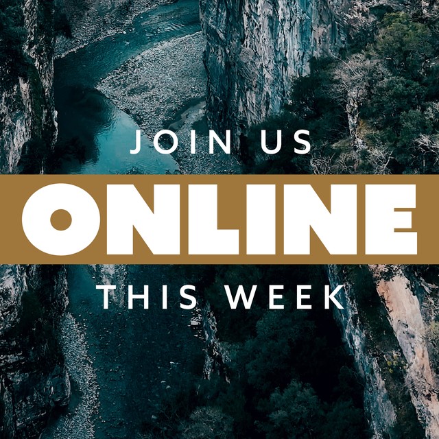 Spring Online