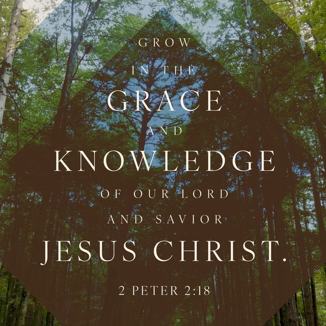 Grace Grow In Scripture